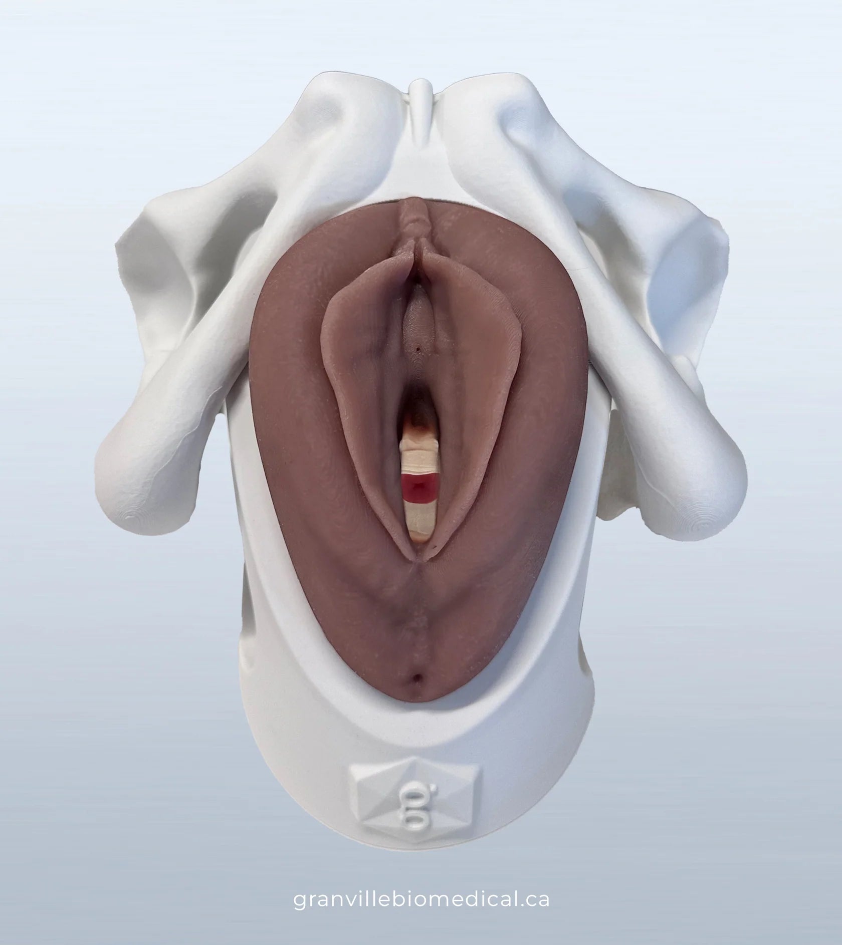 Iris Pessary Model Medium Skin