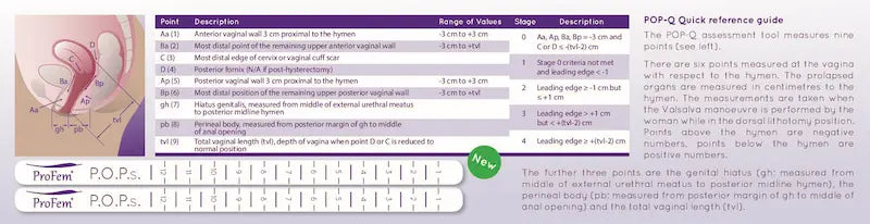 POP-Q Quick Reference Guide