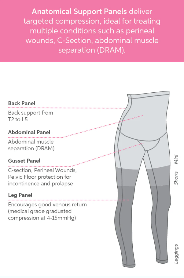 Diagram of SRC compression pants with labeled anatomical support panels on a pink background