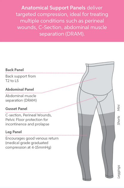 Diagram of SRC compression pants with labeled anatomical support panels on a pink background