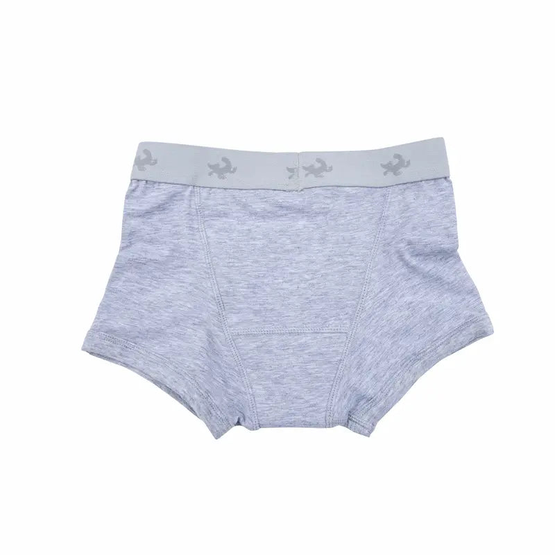 Childrens Potting Training Underpants Grey