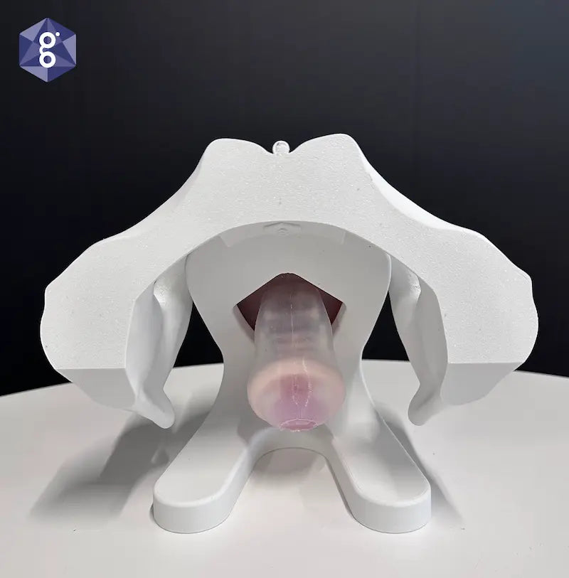 Iris Gellhorn Pessary Demo Model