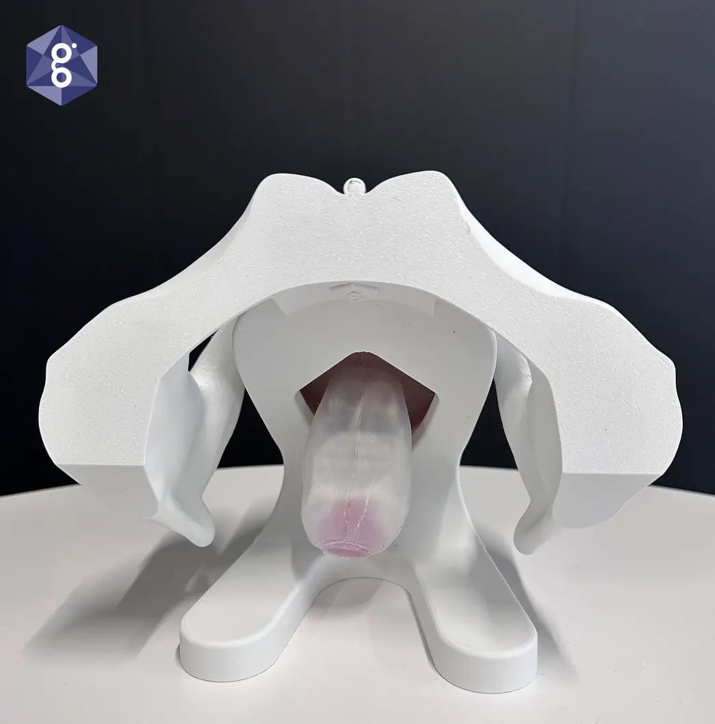 Iris Pessary Cube Demonstation Model