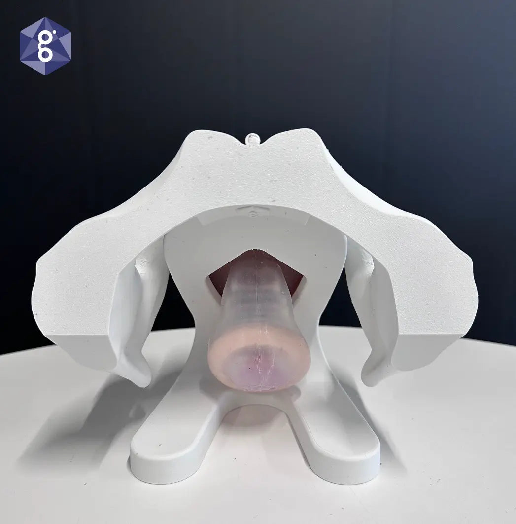 Iris Ring Pessary Demo model
