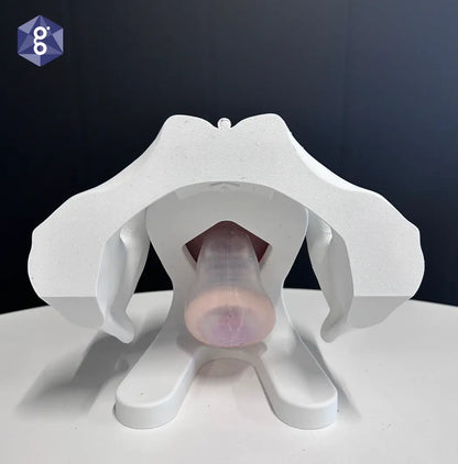 Iris Ring Pessary Demo model